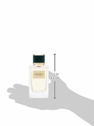 Dolce and Gabbana Velvet Vetiver size