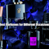 Best Perfumes for Different Occasions